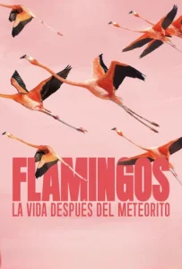 Flamingos La vida después del meteorito